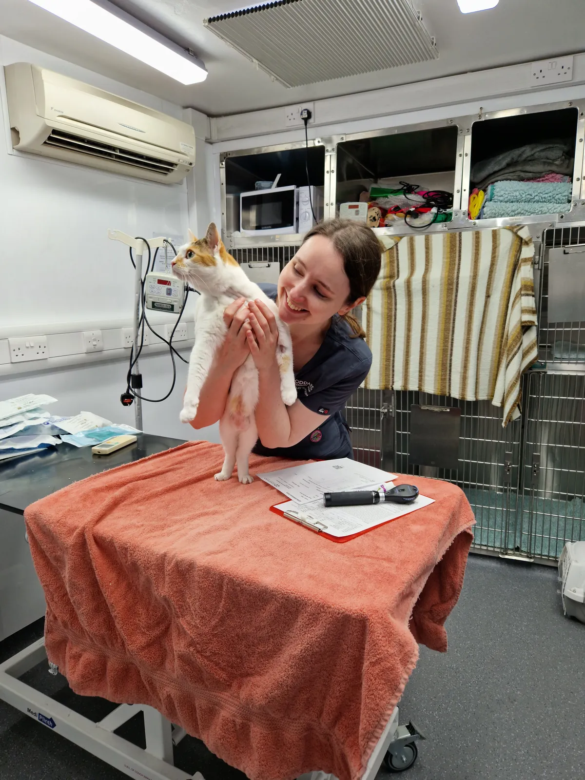 A veterinary nurse smiling as she holds a calico cat during a consult