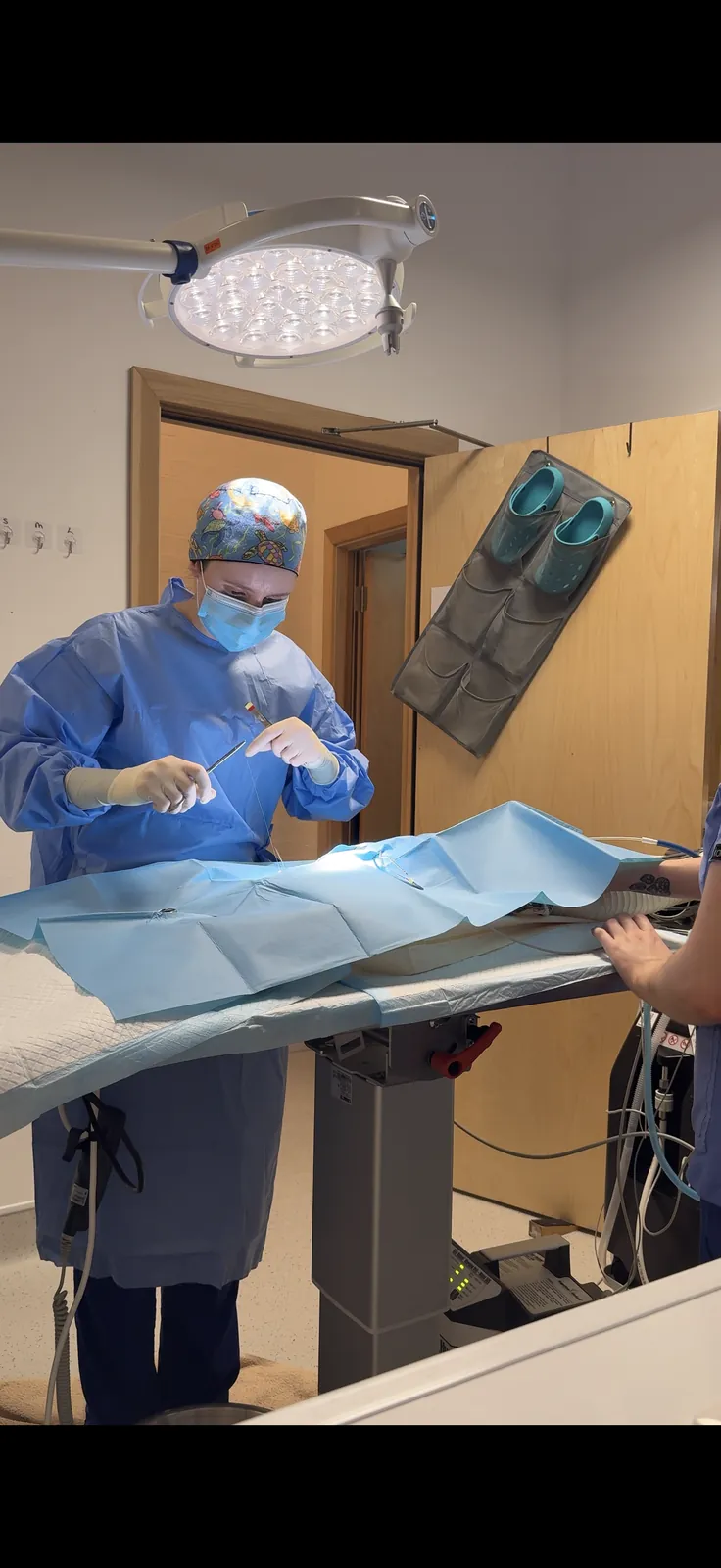 A veterinary surgeon operating under theatre lights in full sterile scrubs